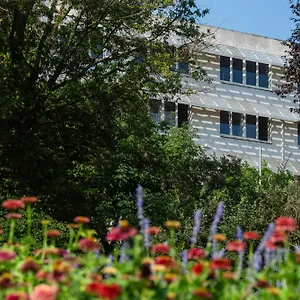 Moricz Student Living Hostel